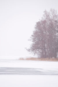 Minimal landscape, winter scenery Minimal landscape, winter scenery